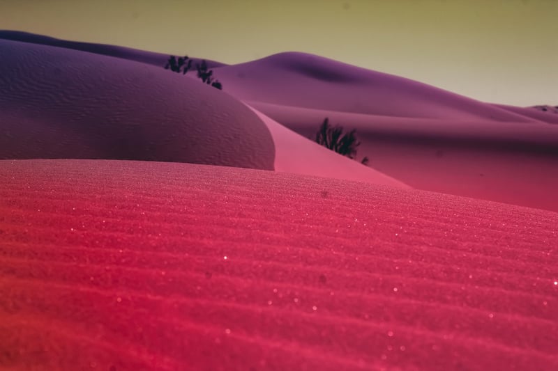 Colorful Oasis
